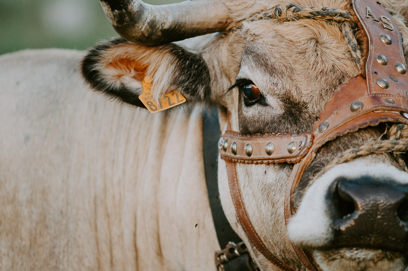 2019 06 28 21h33 015